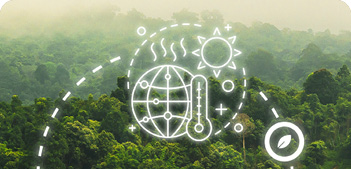 Carbon footprint, LCA ed LPD