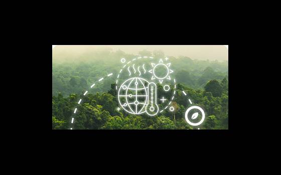 Carbon footprint, LCA ed LPD